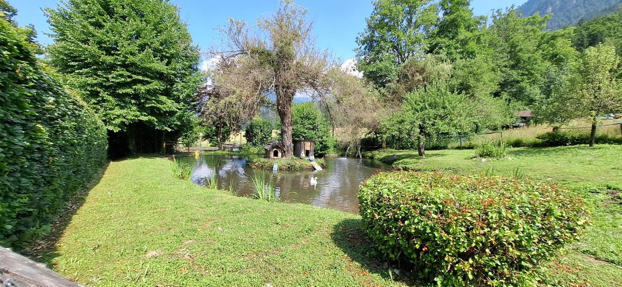 Ferienwohnungen Schloss Wasserleonburg Nötsch Exteriér fotografie